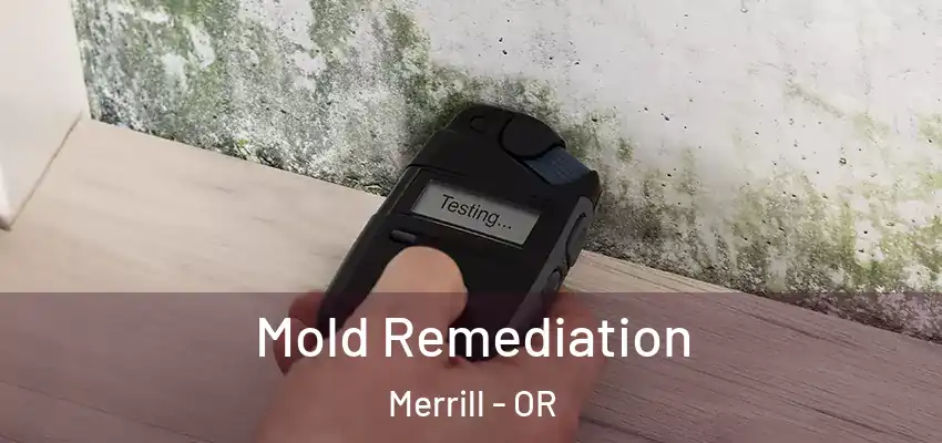  Mold Remediation Merrill - OR