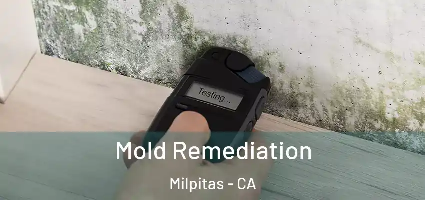  Mold Remediation Milpitas - CA