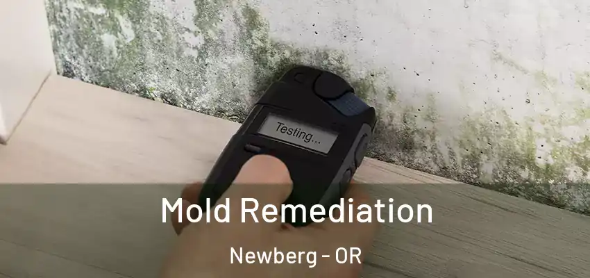  Mold Remediation Newberg - OR