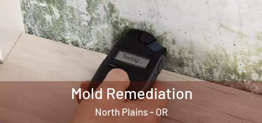  Mold Remediation North Plains - OR