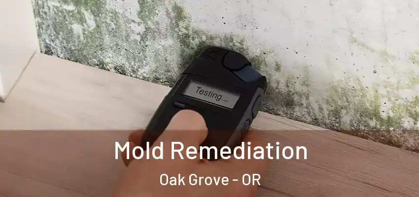 Mold Remediation Oak Grove - OR