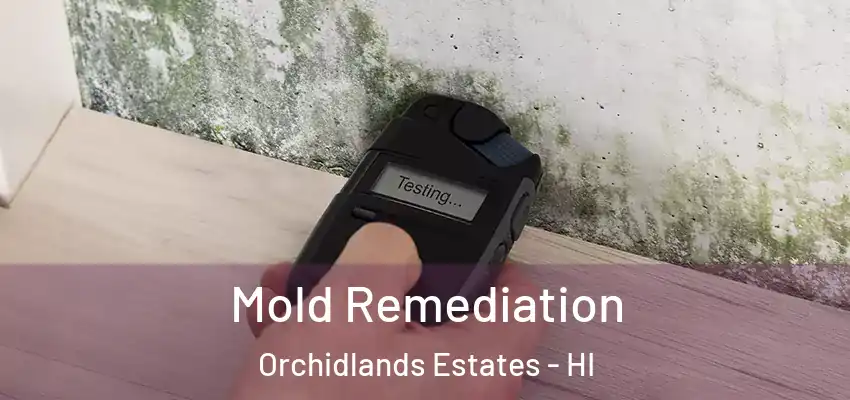  Mold Remediation Orchidlands Estates - HI