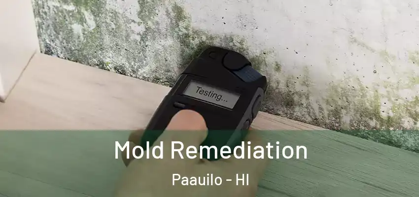  Mold Remediation Paauilo - HI