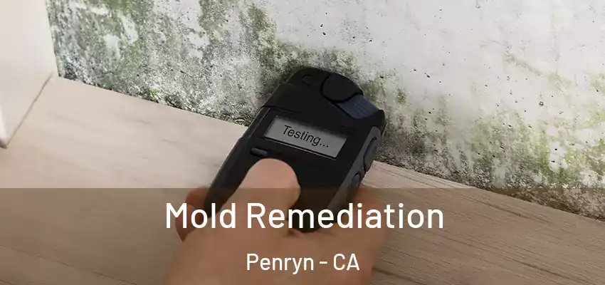  Mold Remediation Penryn - CA
