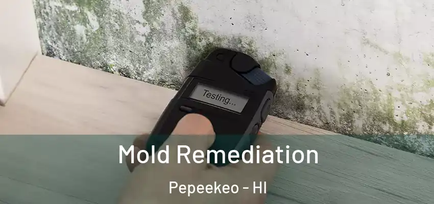  Mold Remediation Pepeekeo - HI
