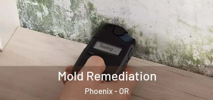  Mold Remediation Phoenix - OR