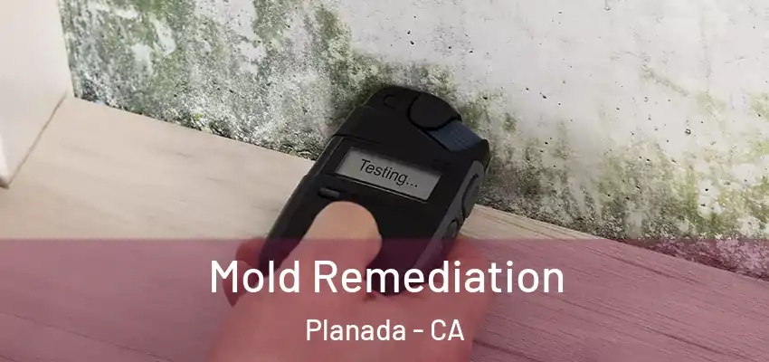  Mold Remediation Planada - CA