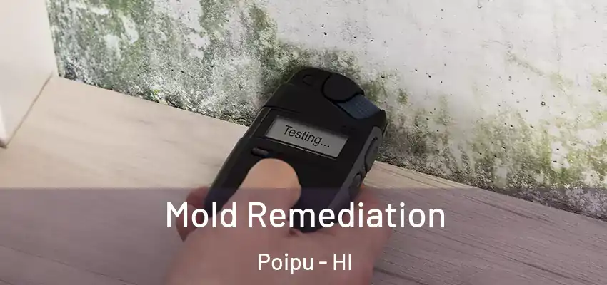  Mold Remediation Poipu - HI