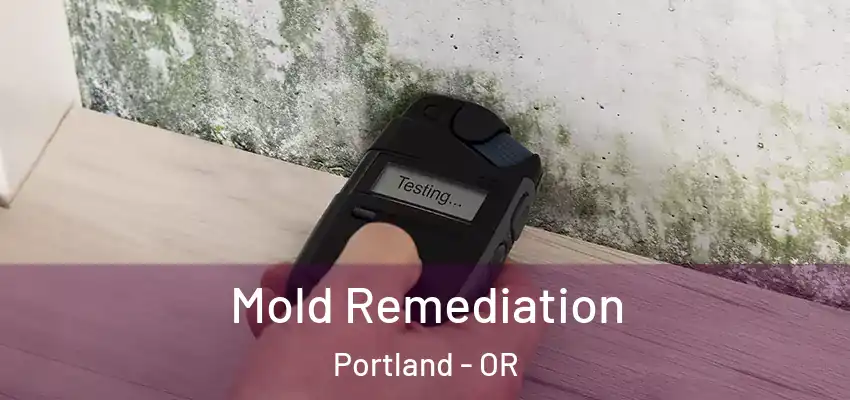 Mold Remediation Portland - OR