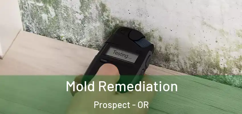  Mold Remediation Prospect - OR