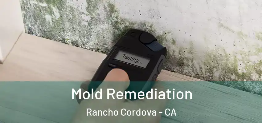  Mold Remediation Rancho Cordova - CA