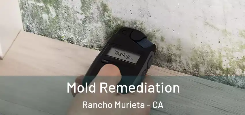  Mold Remediation Rancho Murieta - CA