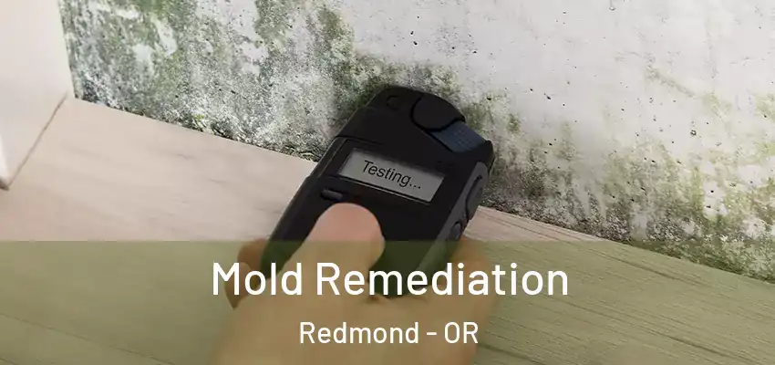  Mold Remediation Redmond - OR