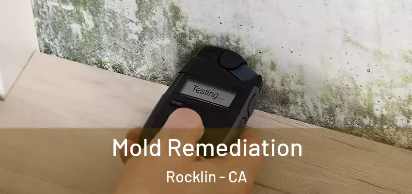  Mold Remediation Rocklin - CA
