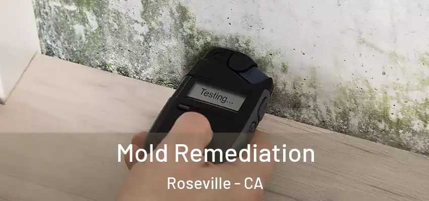  Mold Remediation Roseville - CA