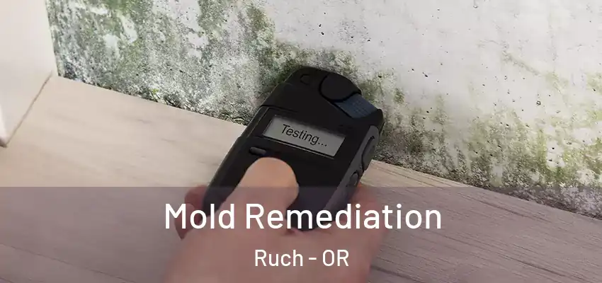  Mold Remediation Ruch - OR