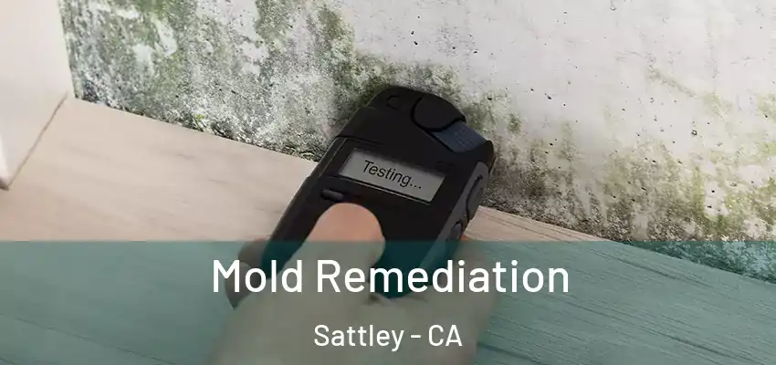  Mold Remediation Sattley - CA