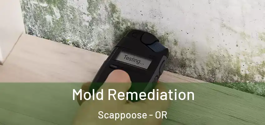  Mold Remediation Scappoose - OR