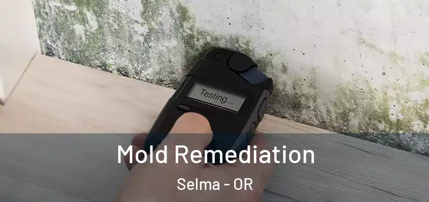  Mold Remediation Selma - OR