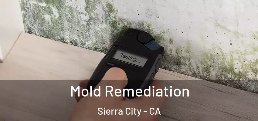  Mold Remediation Sierra City - CA