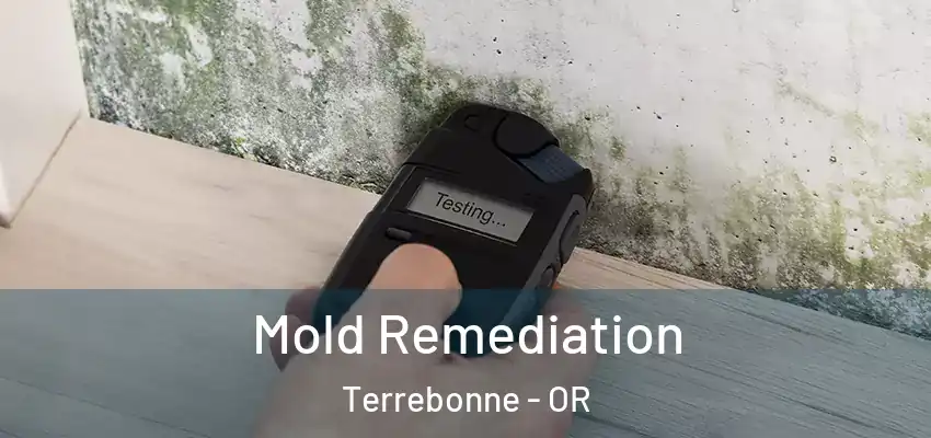 Mold Remediation Terrebonne - OR