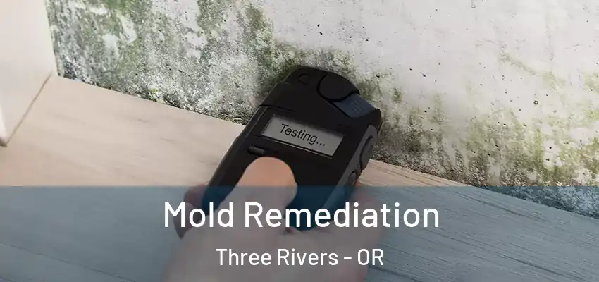  Mold Remediation Three Rivers - OR