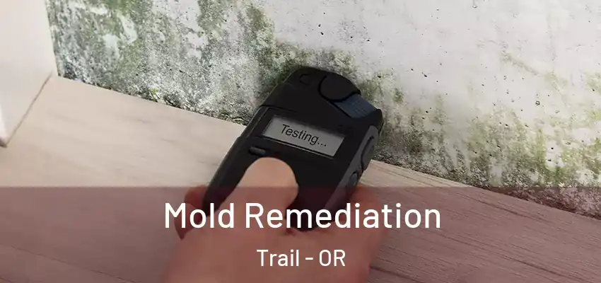  Mold Remediation Trail - OR