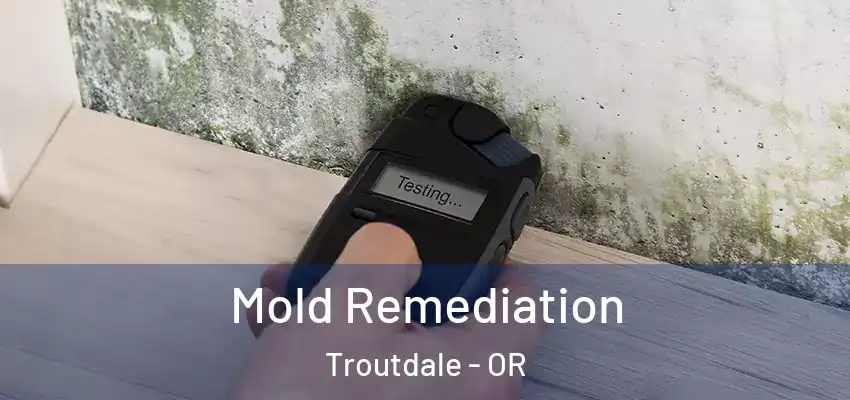 Mold Remediation Troutdale - OR