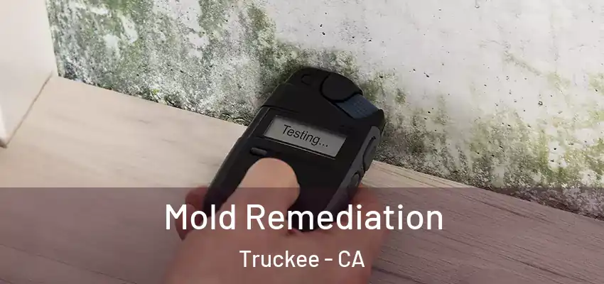  Mold Remediation Truckee - CA