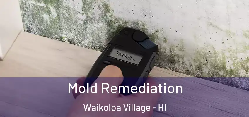  Mold Remediation Waikoloa Village - HI