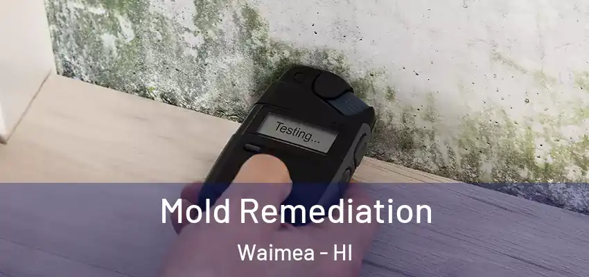  Mold Remediation Waimea - HI