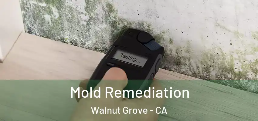 Mold Remediation Walnut Grove - CA