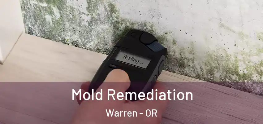  Mold Remediation Warren - OR