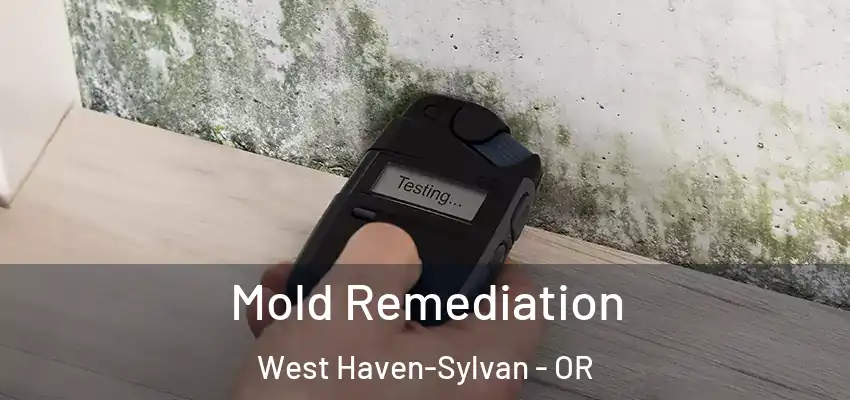 Mold Remediation West Haven-Sylvan - OR