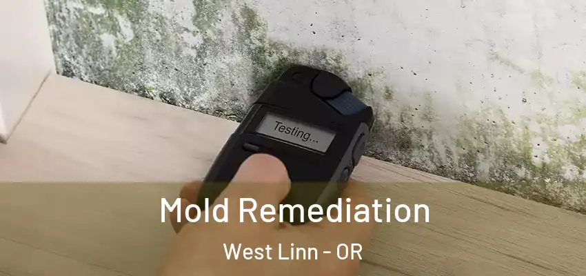  Mold Remediation West Linn - OR