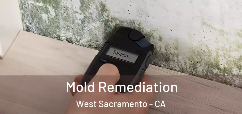 Mold Remediation West Sacramento - CA
