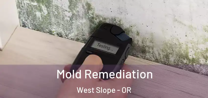 Mold Remediation West Slope - OR