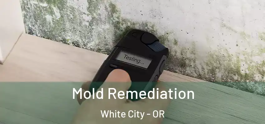  Mold Remediation White City - OR