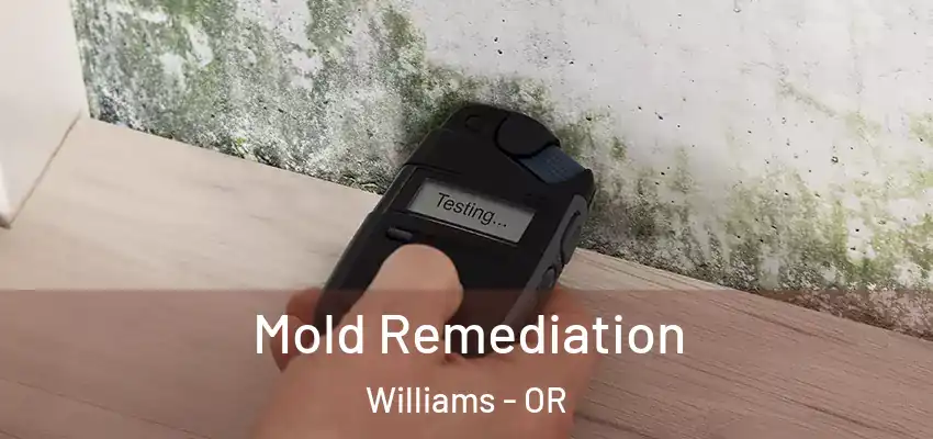  Mold Remediation Williams - OR