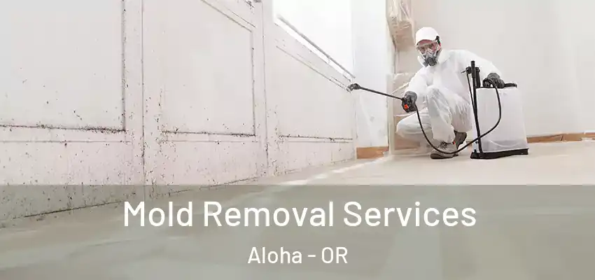  Mold Removal Services Aloha - OR