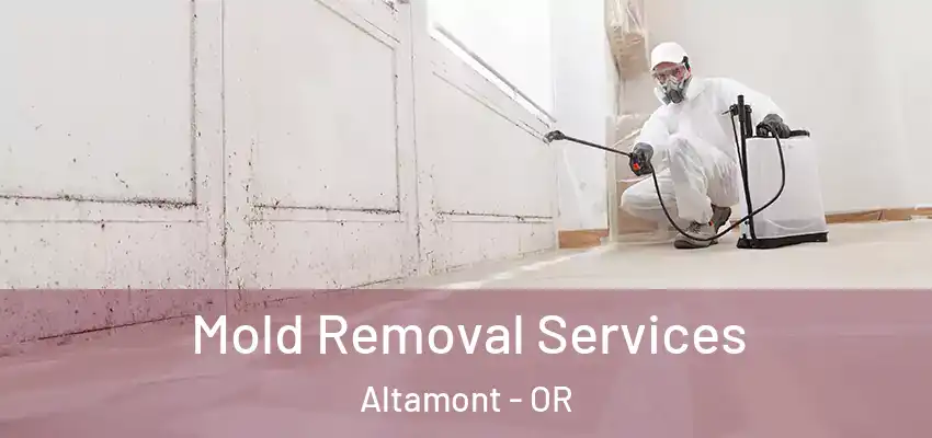  Mold Removal Services Altamont - OR