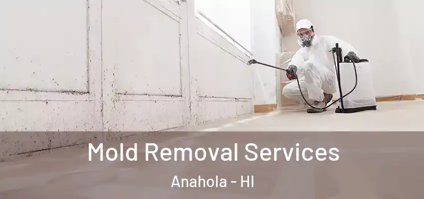  Mold Removal Services Anahola - HI