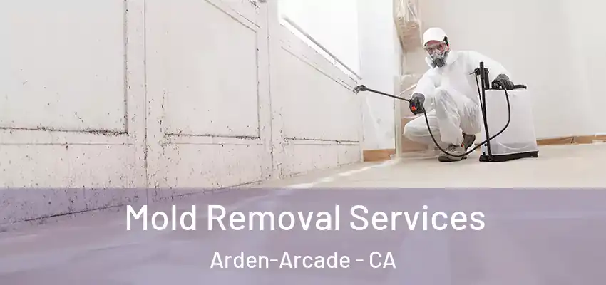 Mold Removal Services Arden-Arcade - CA