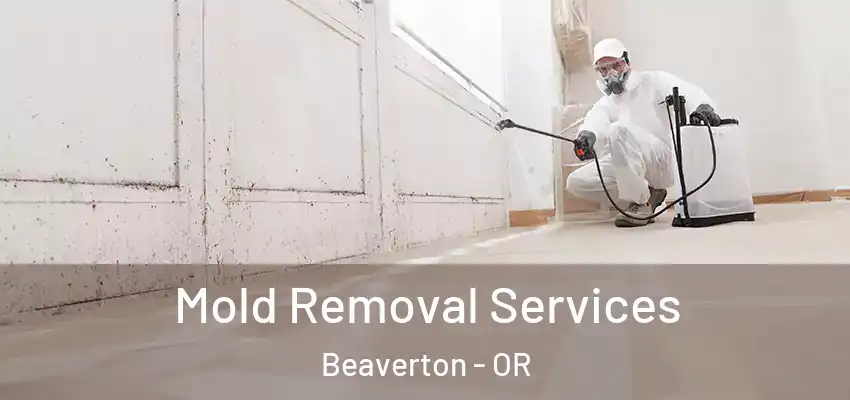  Mold Removal Services Beaverton - OR