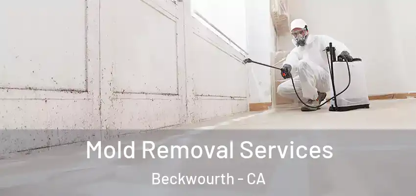  Mold Removal Services Beckwourth - CA