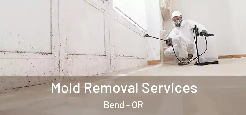  Mold Removal Services Bend - OR