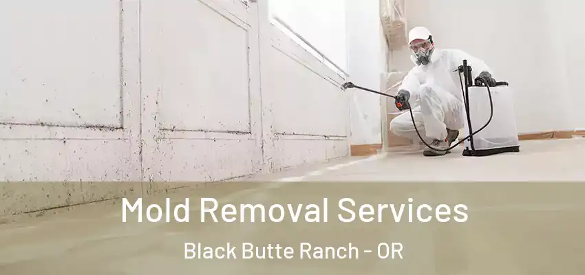  Mold Removal Services Black Butte Ranch - OR