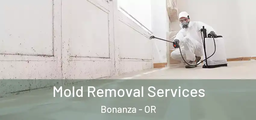  Mold Removal Services Bonanza - OR