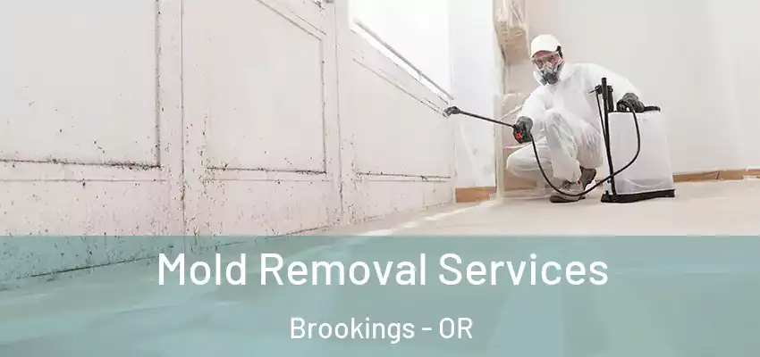  Mold Removal Services Brookings - OR