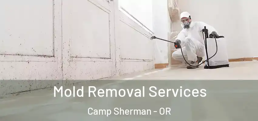 Mold Removal Services Camp Sherman - OR